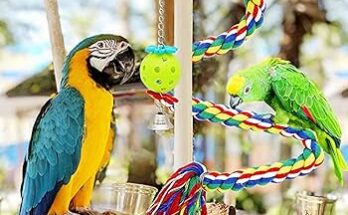 Parrot Toys