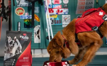 Nulo Dog Food