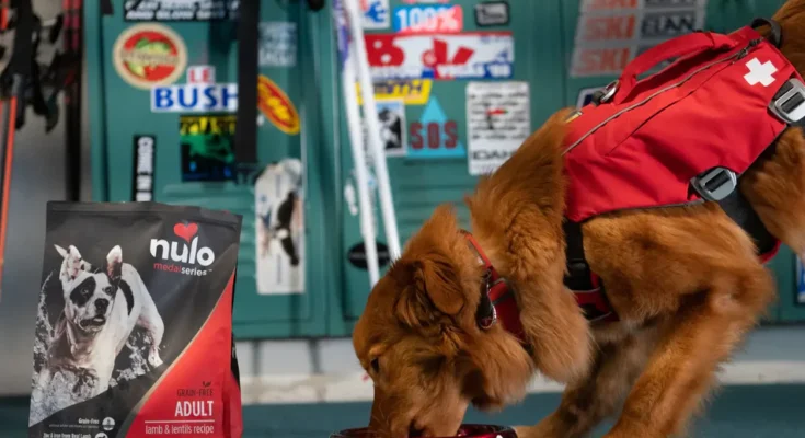 Nulo Dog Food