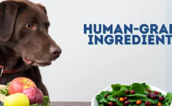 Human Grade Pet Food