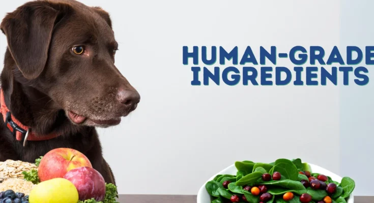 Human Grade Pet Food