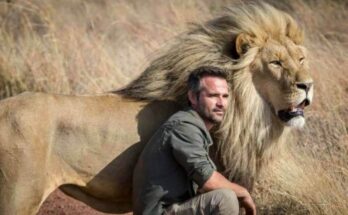 Lion Care