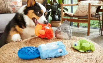 Best Puppy Toys