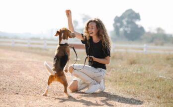 Easiest Puppies to Train