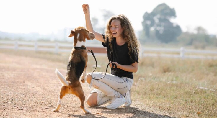 Easiest Puppies to Train