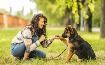 Puppy Training Tips