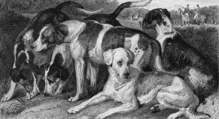 The History of Dogs